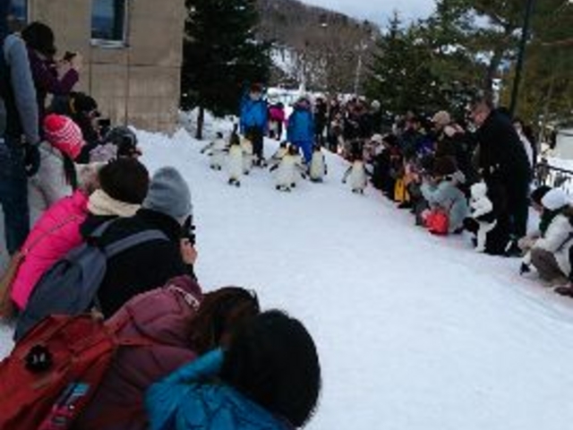 �o�Ă��܂�����_���R������