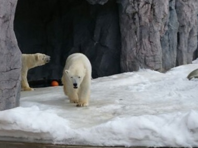 ���F_���R������