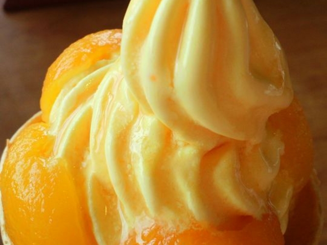 [Bтg\tgN[IXXłB_Ƃ݂}[g