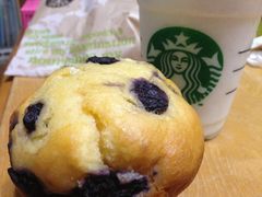 スターバックスコーヒー 芦花公園店の写真一覧 じゃらんnet