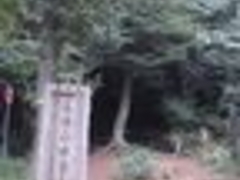 䂤̃gg̐XPnւ̓eʐ^1