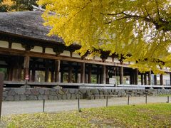 りょうさんの新宮熊野神社への投稿写真1