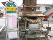 ���Ƃ�-�񂳂�̏a��M���I�O��̓��e�ʐ^3