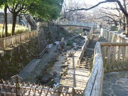 �g�V���[����̉����e�������̓��e�ʐ^1