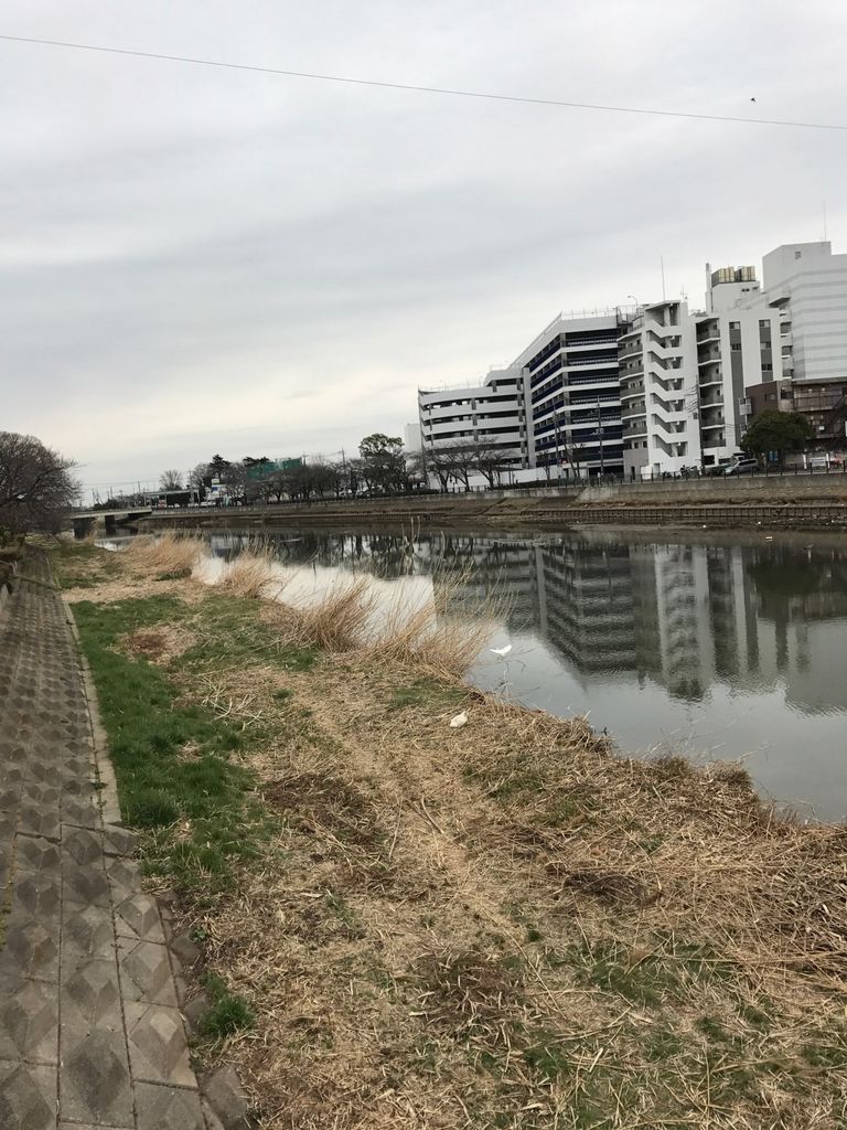 南桜井 埼玉県 駅周辺の漁業体験 潮干狩り 地引網ランキングtop1 じゃらんnet