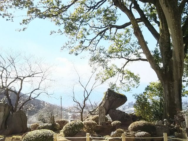 ���Y���Ă���₪�ʔ����ł��B_�~���@