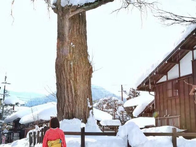 Beatiful street!_���ƌ��� �哴