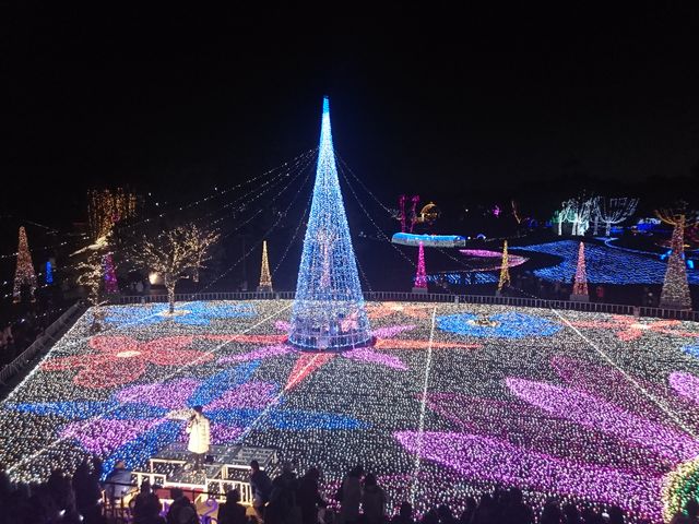 �c���[�̃C���~�l�[�V����_�t���[�����e�{��