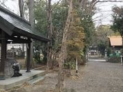 ��݂Ԃ���̎R�p�_�Ђ̓��e�ʐ^1