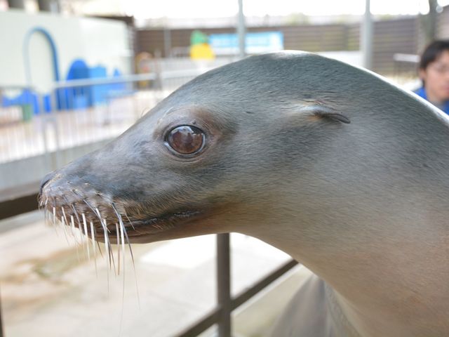 V[̃AVJ͖ڂ̑O܂łĂ邩܂I_EW ANAgg