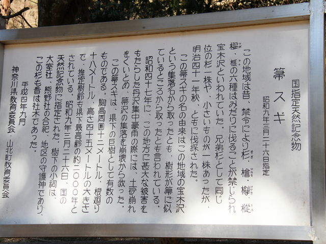 �����Ŕ�_ⴐ�