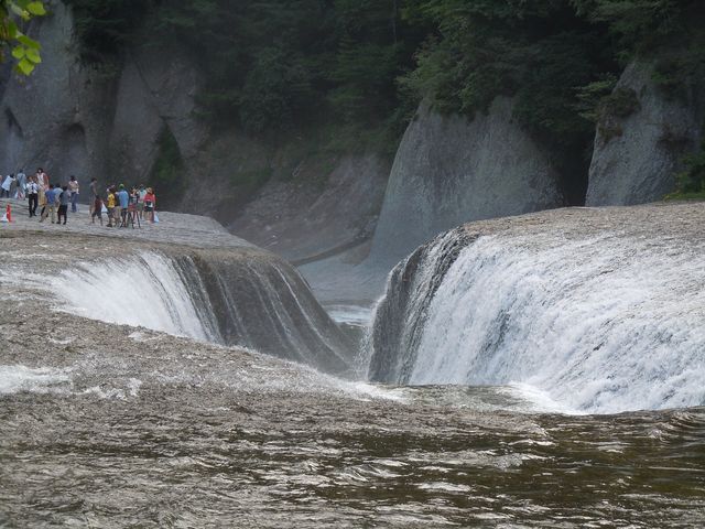 �����̑�_�����̑�