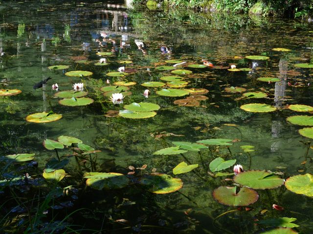 �������ꂽ�Y��Ȓr_���l�̒r�@�򕌌�