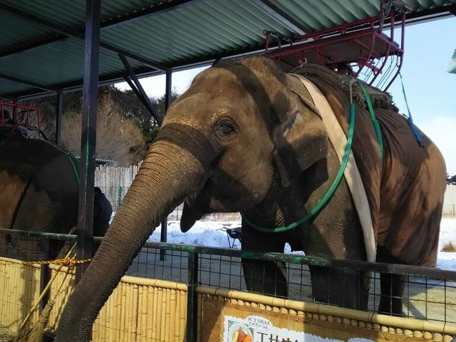 ɃGT邱Ƃł܂I_ߐ{[hL[p[N