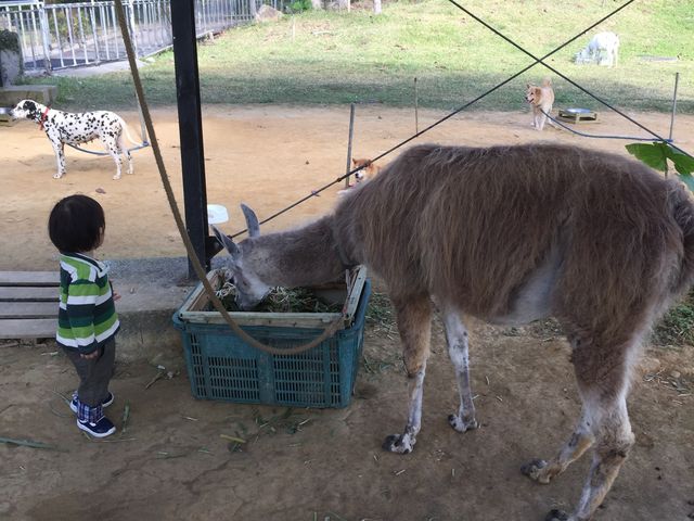 �ߋ����ł̉a��肪�ł��܂�_�l�I�p�[�N�I�L�i��