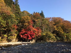 マコさんの中津川村キャンプ場への投稿写真1