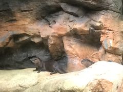 ܂䂳̐EW ANAggӂւ̓eʐ^1