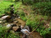 ۂƂ񂳂̑啽h̓eʐ^2