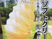 ��������������[����̐��c��ߖq��  ��t���O�X�̓��e�ʐ^1