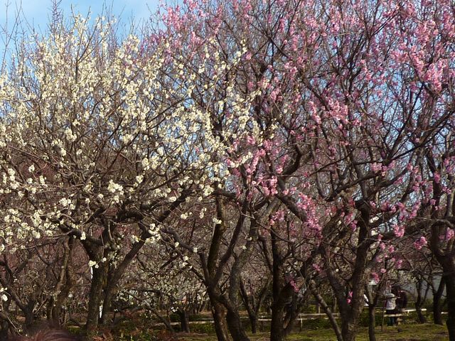 �~_�~�ь����̔~