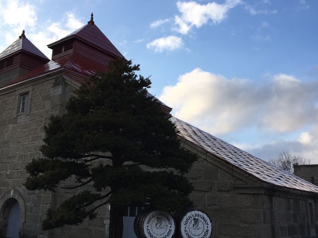 �h���}�̂܂܂ł����B_�j�b�J�E���X�L�[�]�s������