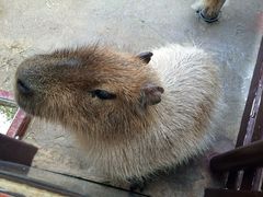 [₳̐EW ANAggӂւ̓eʐ^1