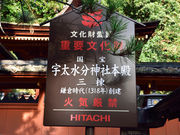 䂸҂̉F_Ж{a̓eʐ^3