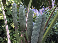 J񂳂̒茧MѐAւ̓eʐ^2