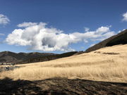 ponkan̂Ώ@䂵T̓eʐ^3