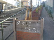 gV[̗[₯񂾂̓eʐ^1