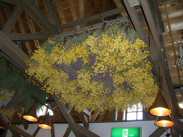 VɃhCt[Ă܂_̉w XXԑ