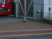 `܂˂̓̉w XXԑ̓eʐ^2