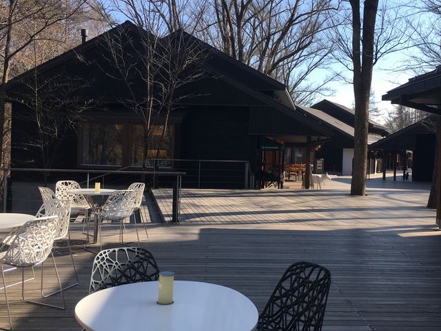 RPUiؗjjmrUo܂킟IiR/Tj_y򐯖GA@njeX