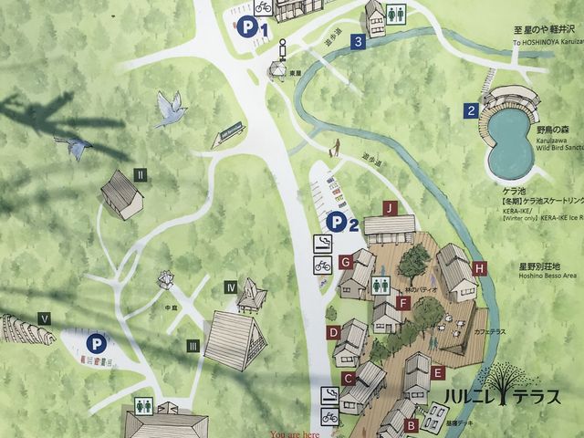 쉈̗V́ASn悢C킦܂킟IEbhE`bvŕܑĂāA܂I_y򐯖GA@njeX