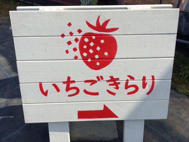 �����������_�����������