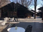 ~bVF̌y򐯖GA@njeX̓eʐ^3