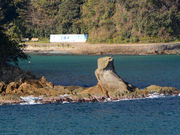 �C���J���񂳂�̎O�c�l�C������̓��e�ʐ^4