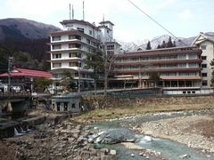 ꂨ񂳂̉͌̓ւ̓eʐ^1