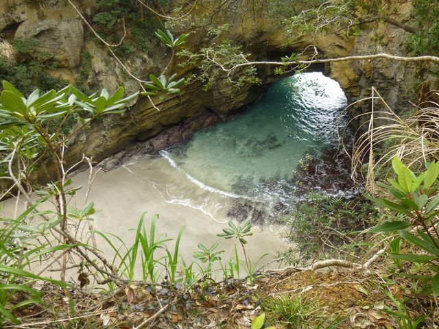 �ŏ��̈ꖇ_���{�A