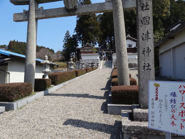 ���܂�����̍��Ð_�Ђ̓��e�ʐ^1