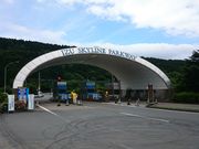 ꂨ񂳂̓V鍂̓eʐ^1