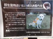 ���܂�����̋Ɋy���̓��e�ʐ^1