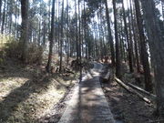 ���܂�����̐Ԋ���_�Ђ̓��e�ʐ^1