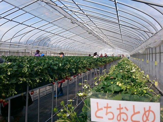 �Ƃ����Ƃ�_���[��������