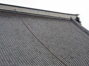 ߂̂₳̓{莛ٕʉ@̓eʐ^1