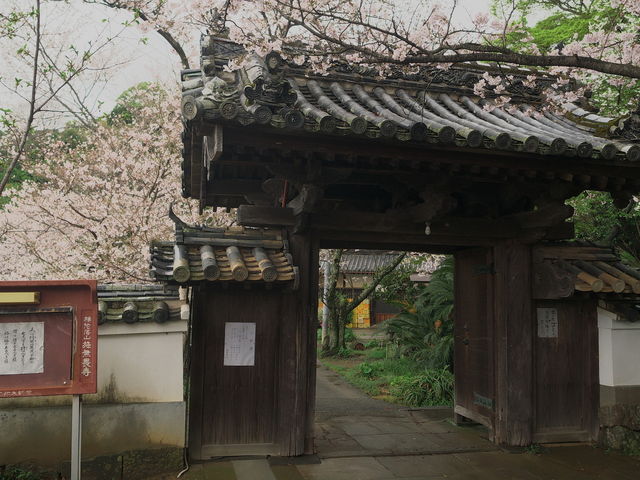 sklfh����̎{���؎��̓��e�ʐ^1