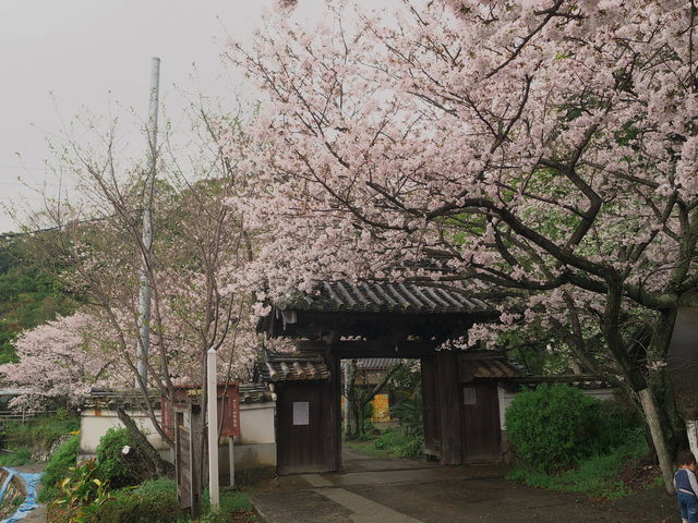 sklfh����̎{���؎��̍��̓��e�ʐ^1