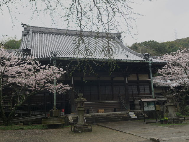 �򍑎�_�򍑎�