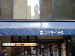 鰻の高級店が多い東京の中では比較的手ごろです うなぎ山吹の口コミ じゃらんnet