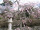 TATKさんの中山寺庭園への投稿写真2
